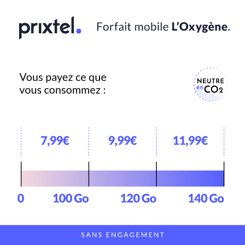 forfait prixtel 100Go